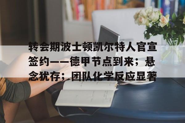 游戏运营商-关于转会期波士顿凯尔特人官宣签约——德甲节点到来；悬念犹存；团队化学反应显著的信息